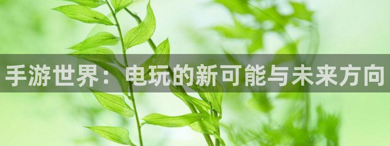 28大神老版本：手游世界：电玩的新可能与未来方向