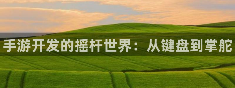 28大神官网预测：手游开发的摇杆世界：从键盘到掌舵