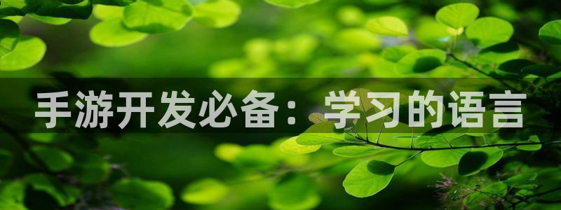 28大神开奖记录：手游开发必备：学习的语言