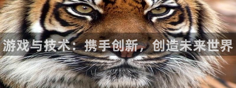 银河(galaxy)官网分分预测：游戏与技术：携手创新，创造