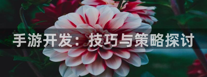 28大神app下载页面：手游开发：技巧与策略探讨