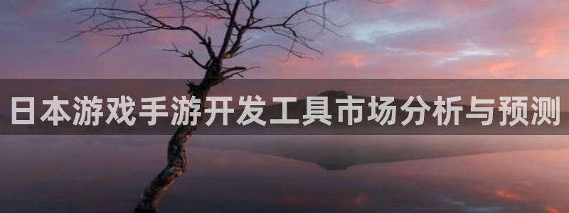 大神吧论坛28算法：日本游戏手游开发工具市场分析与预测